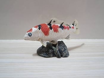 錦鯉　置物　錦鯉フィギュア Amazon | 原色淡水魚図鑑【大正三色】錦鯉 フィギュア